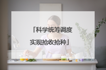 科学统筹调度实现抢收抢种
