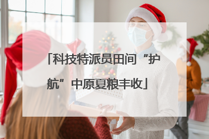 科技特派员田间“护航”中原夏粮丰收