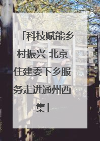 科技赋能乡村振兴 北京住建委下乡服务走进通州西集