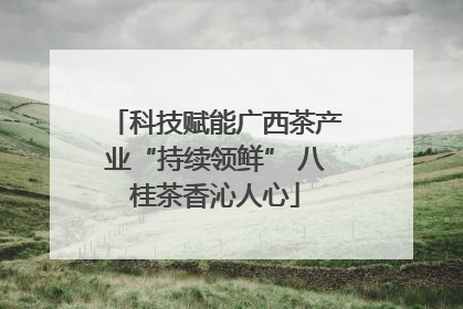 科技赋能广西茶产业“持续领鲜” 八桂茶香沁人心