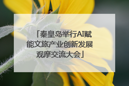 秦皇岛举行AI赋能文旅产业创新发展观摩交流大会