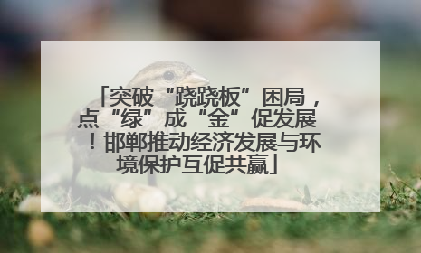突破“跷跷板”困局，点“绿”成“金”促发展！邯郸推动经济发展与环境保护互促共赢