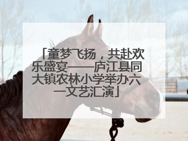 童梦飞扬，共赴欢乐盛宴——庐江县同大镇农林小学举办六一文艺汇演