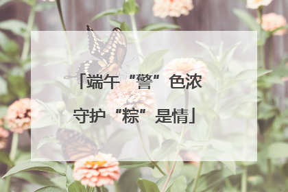 端午“警”色浓 守护“粽”是情