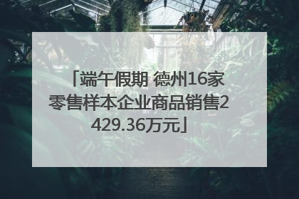 端午假期 德州16家零售样本企业商品销售2429.36万元