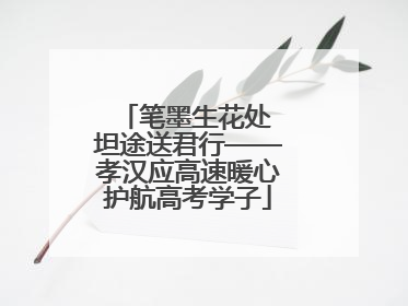 笔墨生花处 坦途送君行——孝汉应高速暖心护航高考学子