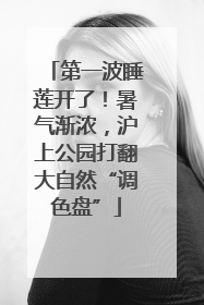 第一波睡莲开了！暑气渐浓，沪上公园打翻大自然“调色盘”