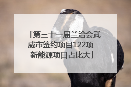 第三十一届兰洽会武威市签约项目122项 新能源项目占比大