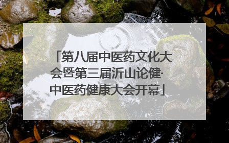 第八届中医药文化大会暨第三届沂山论健·中医药健康大会开幕