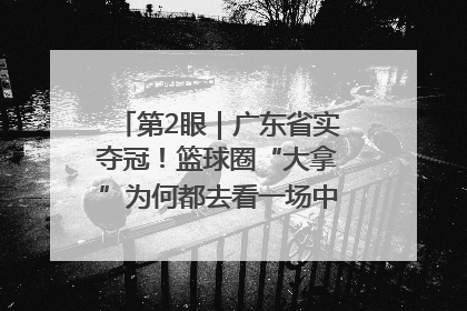 第2眼｜广东省实夺冠！篮球圈“大拿”为何都去看一场中学生比赛？