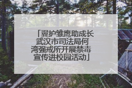 翼护雏鹰助成长 武汉市司法局何湾强戒所开展禁毒宣传进校园活动