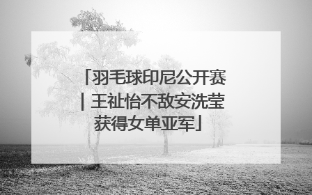 羽毛球印尼公开赛｜王祉怡不敌安洗莹 获得女单亚军