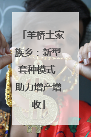 羊桥土家族乡：新型套种模式 助力增产增收