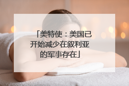 美特使：美国已开始减少在叙利亚的军事存在