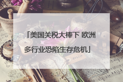 美国关税大棒下 欧洲多行业恐陷生存危机
