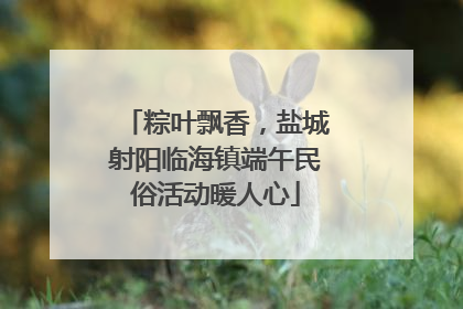 粽叶飘香，盐城射阳临海镇端午民俗活动暖人心