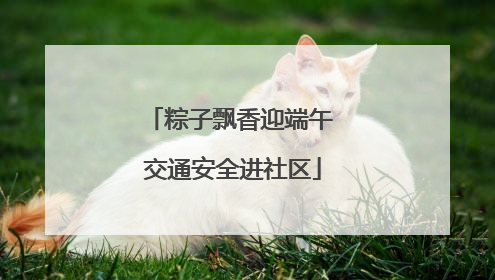 粽子飘香迎端午 交通安全进社区