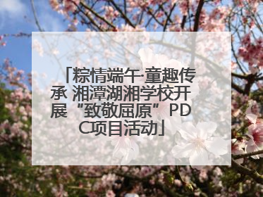 粽情端午·童趣传承 湘潭湖湘学校开展“致敬屈原”PDC项目活动