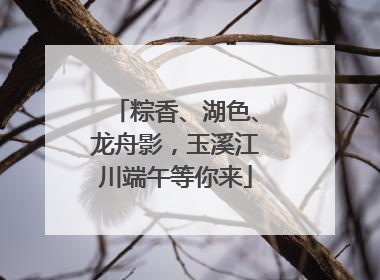 粽香、湖色、龙舟影，玉溪江川端午等你来