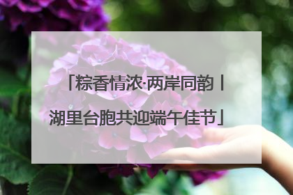 粽香情浓·两岸同韵丨湖里台胞共迎端午佳节