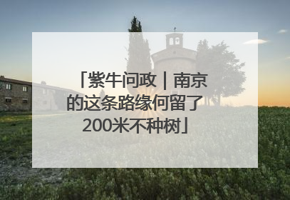 紫牛问政｜南京的这条路缘何留了200米不种树