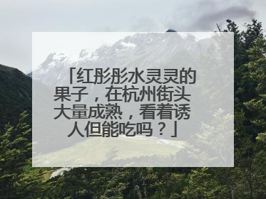 红彤彤水灵灵的果子，在杭州街头大量成熟，看着诱人但能吃吗？
