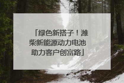 绿色新搭子！潍柴新能源动力电池助力客户创富路