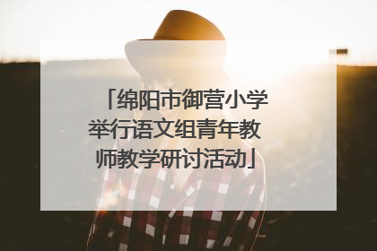 绵阳市御营小学举行语文组青年教师教学研讨活动