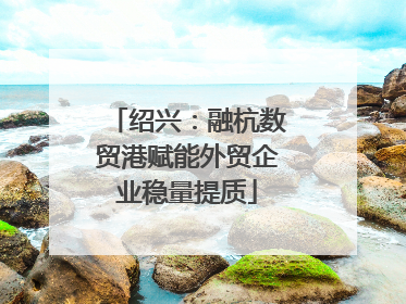 绍兴：融杭数贸港赋能外贸企业稳量提质