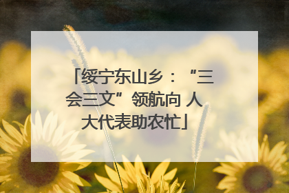绥宁东山乡：“三会三文”领航向 人大代表助农忙