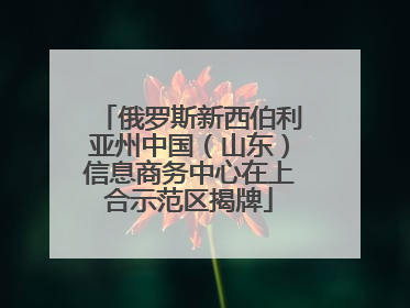 俄罗斯新西伯利亚州中国（山东）信息商务中心在上合示范区揭牌