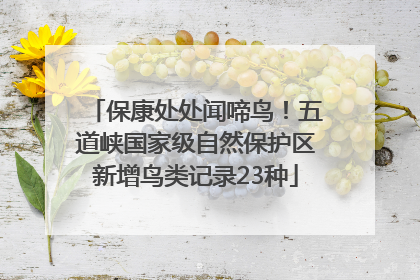 保康处处闻啼鸟！五道峡国家级自然保护区新增鸟类记录23种