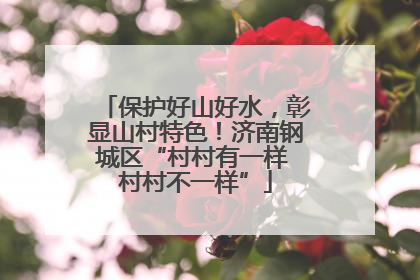 保护好山好水，彰显山村特色！济南钢城区“村村有一样 村村不一样”