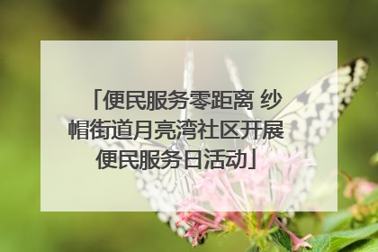 便民服务零距离 纱帽街道月亮湾社区开展便民服务日活动