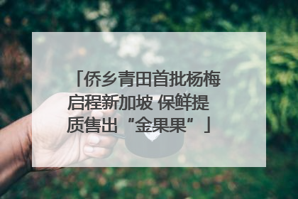 侨乡青田首批杨梅启程新加坡 保鲜提质售出“金果果”