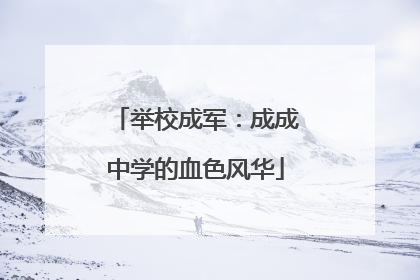 举校成军：成成中学的血色风华
