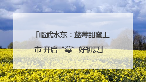 临武水东：蓝莓甜蜜上市 开启“莓”好初夏