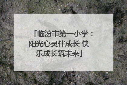 临汾市第一小学：阳光心灵伴成长 快乐成长筑未来