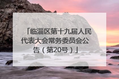 临淄区第十九届人民代表大会常务委员会公告（第20号）