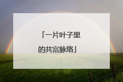 一片叶子里的共富脉络
