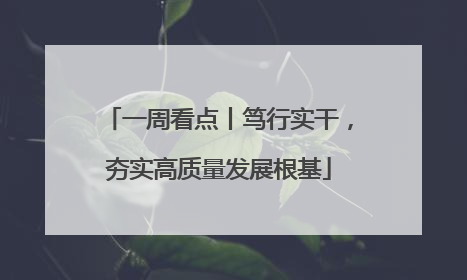 一周看点丨笃行实干，夯实高质量发展根基