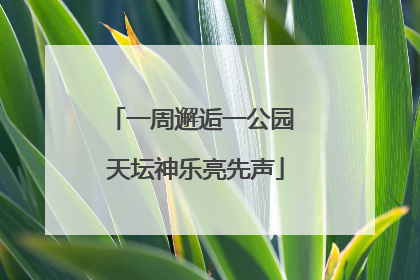 一周邂逅一公园 天坛神乐亮先声