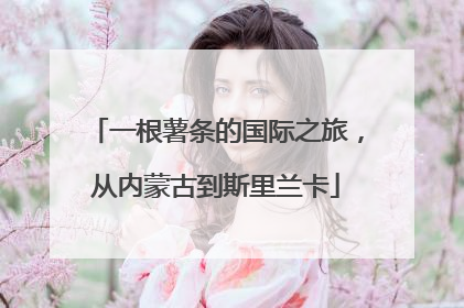 一根薯条的国际之旅，从内蒙古到斯里兰卡