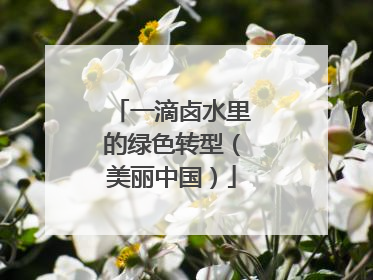一滴卤水里的绿色转型（美丽中国）