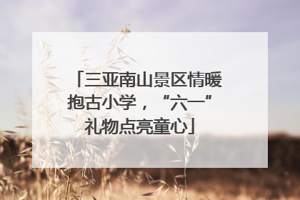 三亚南山景区情暖抱古小学，“六一”礼物点亮童心