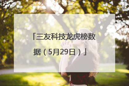 三友科技龙虎榜数据（5月29日）