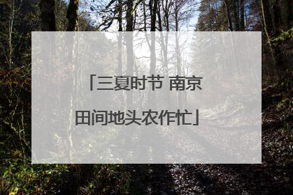 三夏时节 南京田间地头农作忙