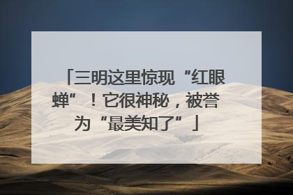 三明这里惊现“红眼蝉”！它很神秘，被誉为“最美知了”