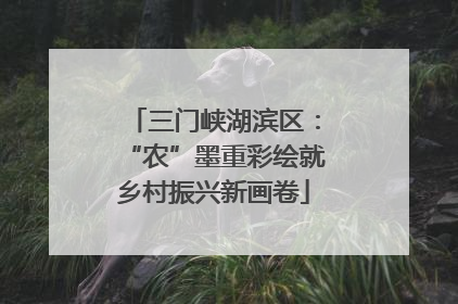 三门峡湖滨区：“农”墨重彩绘就乡村振兴新画卷