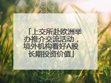上交所赴欧洲举办推介交流活动，境外机构看好A股长期投资价值